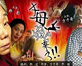 国产精品久久久久久精品三级